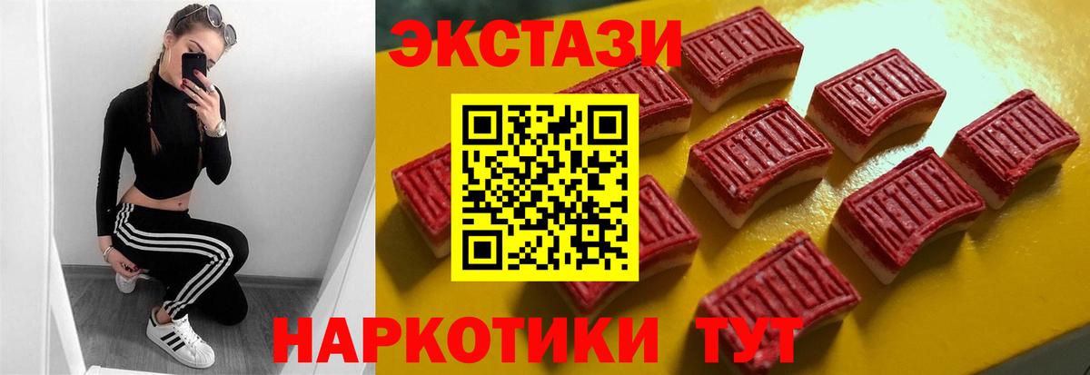 Ecstasy Philipp Plein  ЭКСТАЗИ  Рассказово  Вход с VPN  Экстази TESLA 